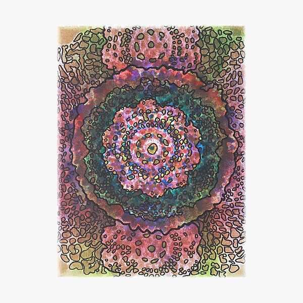 Stain 26 Photographic Print