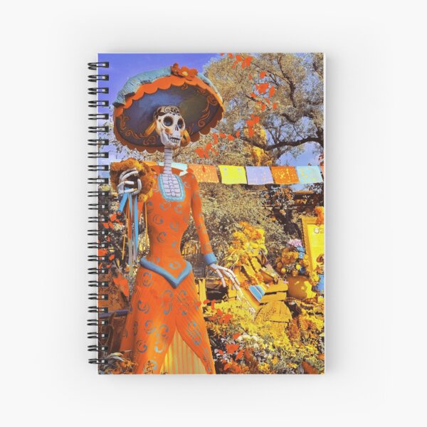 Poco Spiral Notebooks Redbubble - about apartments coco un poco loco roblox