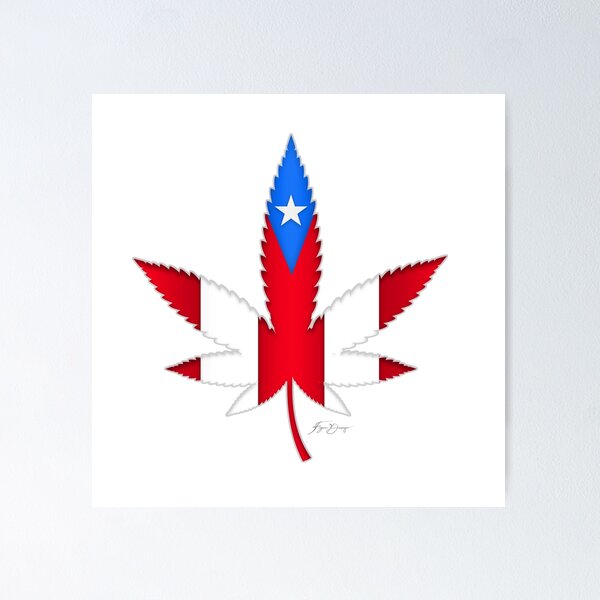 Artikelvorschau, pr puerto rico flag unkraut blume entworfen und verkauft von figadesign.