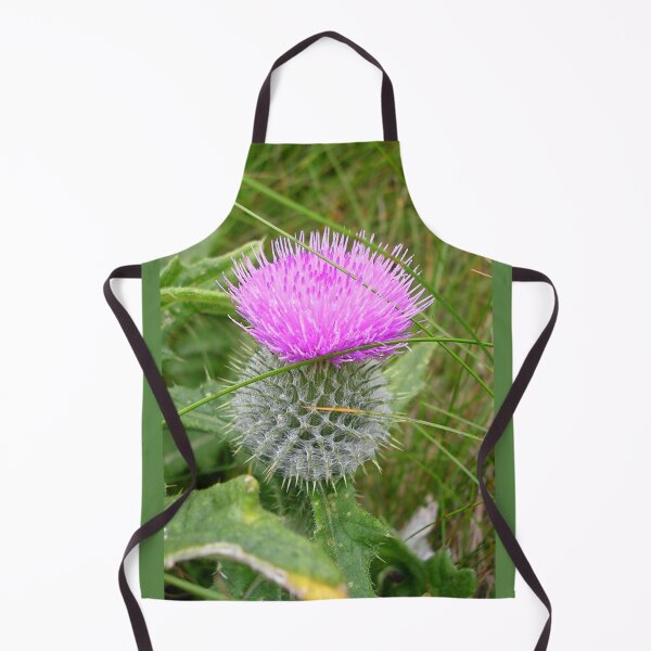Artikelvorschau, Eine schottische Distel entworfen und verkauft von lezvee.