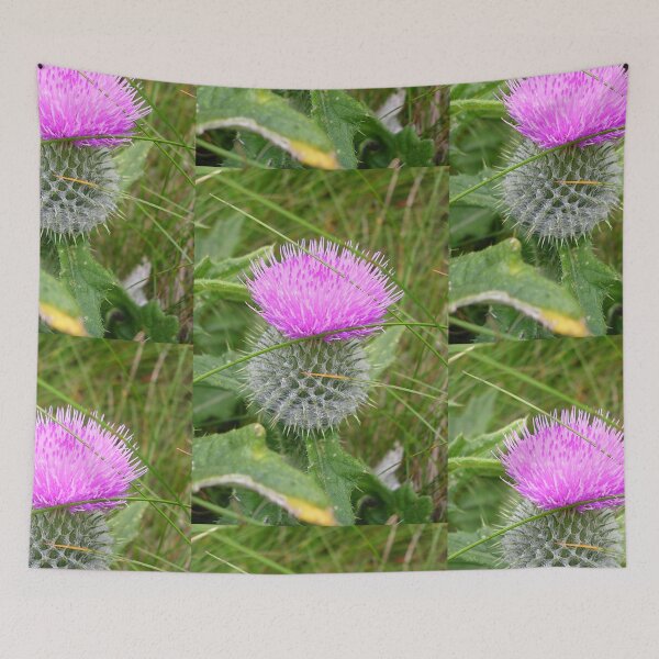 Item preview, A Scottish Thistle designed and sold by lezvee.