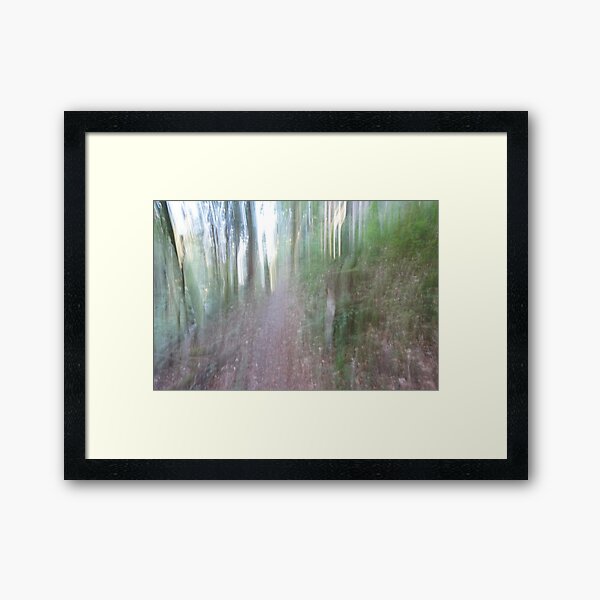 Forest_1311 Framed Art Print