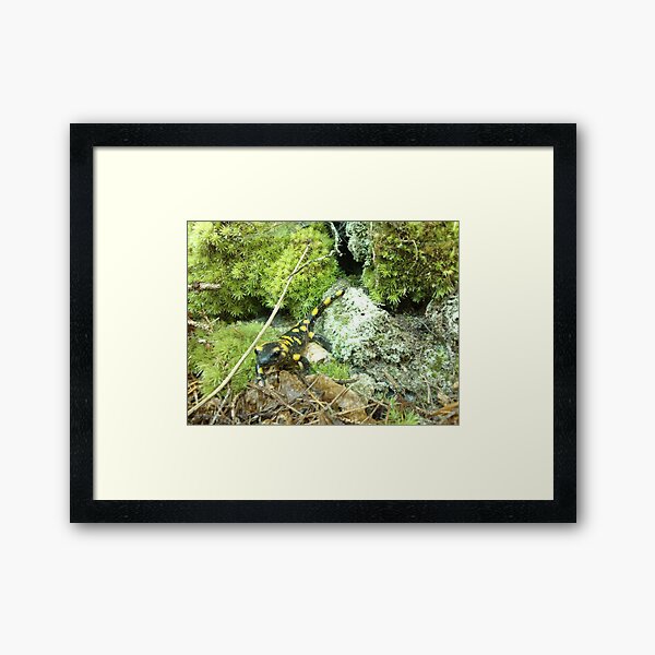 Forest_1324 Framed Art Print