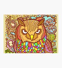 Owl Photographic Print