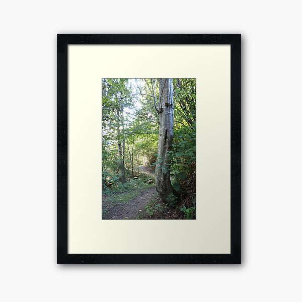 Forest_1308 Gerahmter Kunstdruck