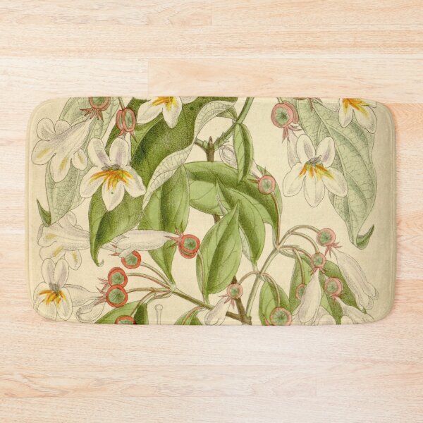 Item preview, Dipelta floribunda 136 8310 designed and sold by EsotericBotanic.