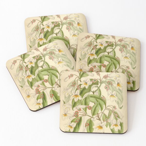 Item preview, Dipelta floribunda 136 8310 designed and sold by EsotericBotanic.