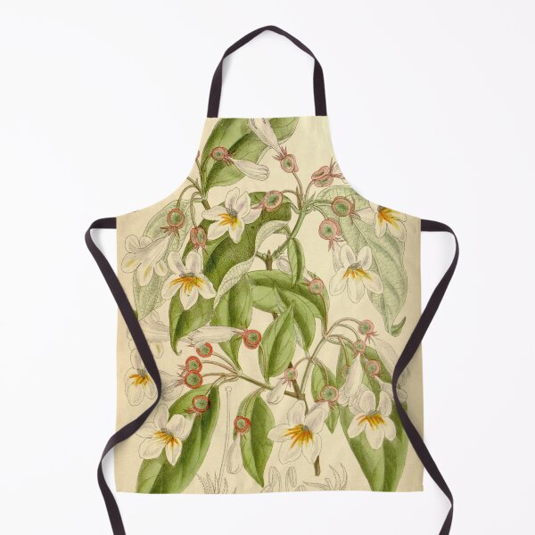 Item preview, Dipelta floribunda 136 8310 designed and sold by EsotericBotanic.