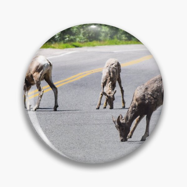 Artikelvorschau, Autobahnreiniger? entworfen und verkauft von CanadianWild418.