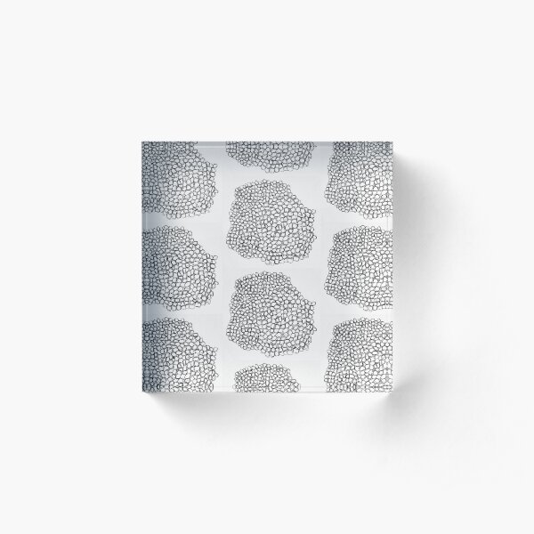 Rounds Acrylic Block