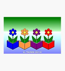 FLOWERS IN CUBES Photographic Print