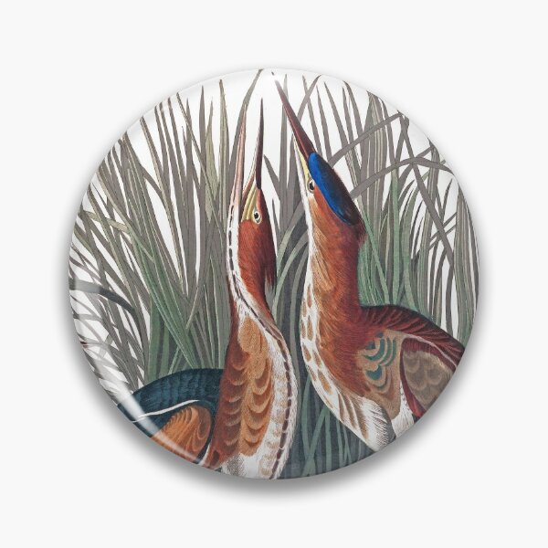 Item preview, Least Bitterns by John James Audubon designed and sold by TheCurators.