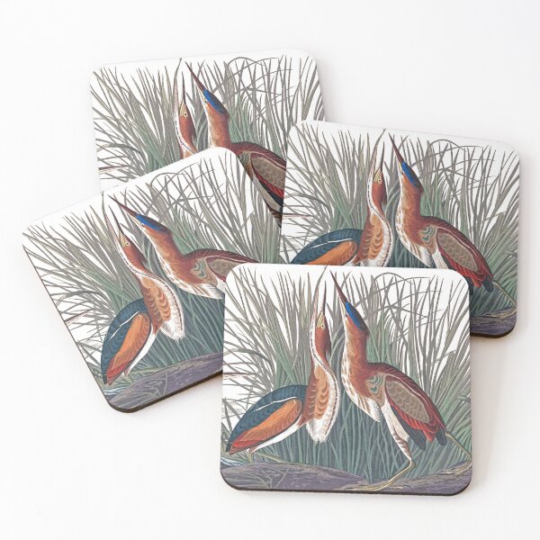Item preview, Least Bitterns by John James Audubon designed and sold by TheCurators.