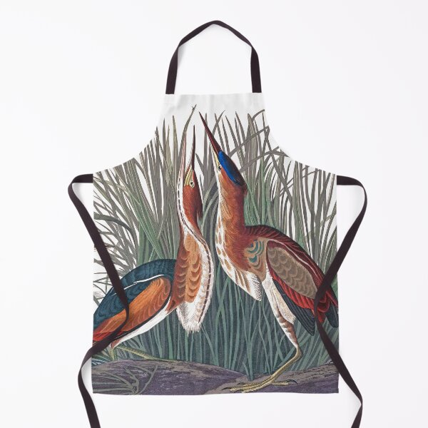 Item preview, Least Bitterns by John James Audubon designed and sold by TheCurators.