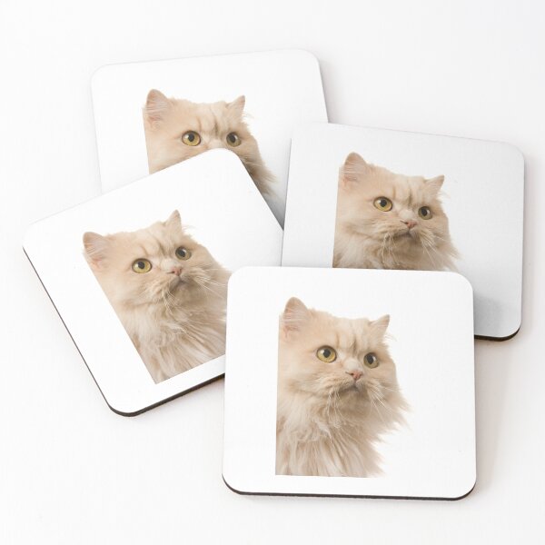 cat eyes Coasters (Set of 4)