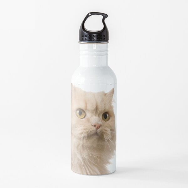 cat eyes Water Bottle
