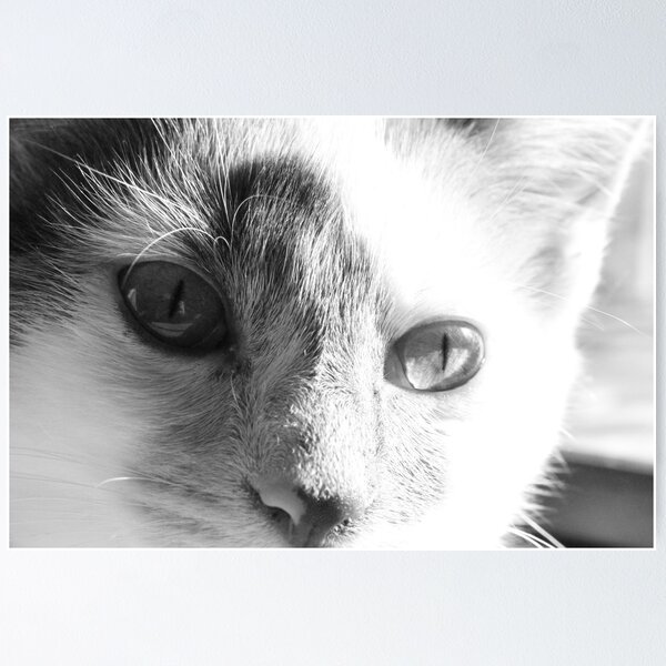 Item preview, Calli designed and sold by Deborah Thomes.