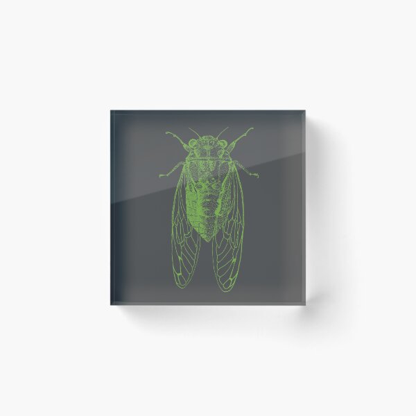 Item preview, Cicada designed and sold by Rich Anderson.