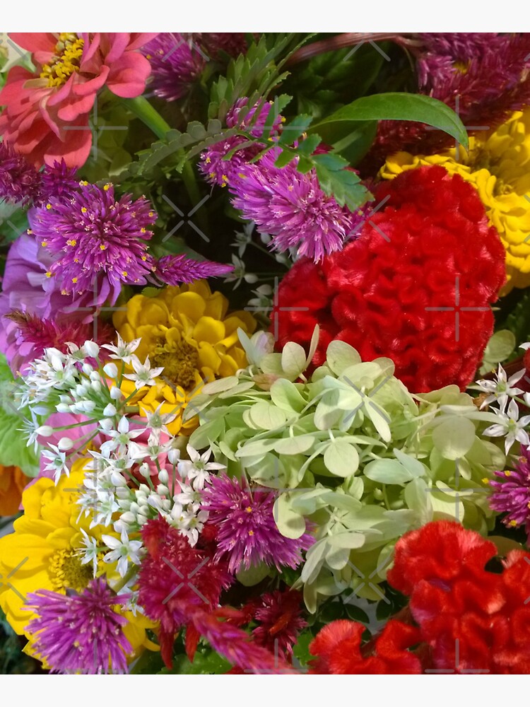 Floral Bouquet-Aster-Cock's Comb-Zinnia by Matlgirl