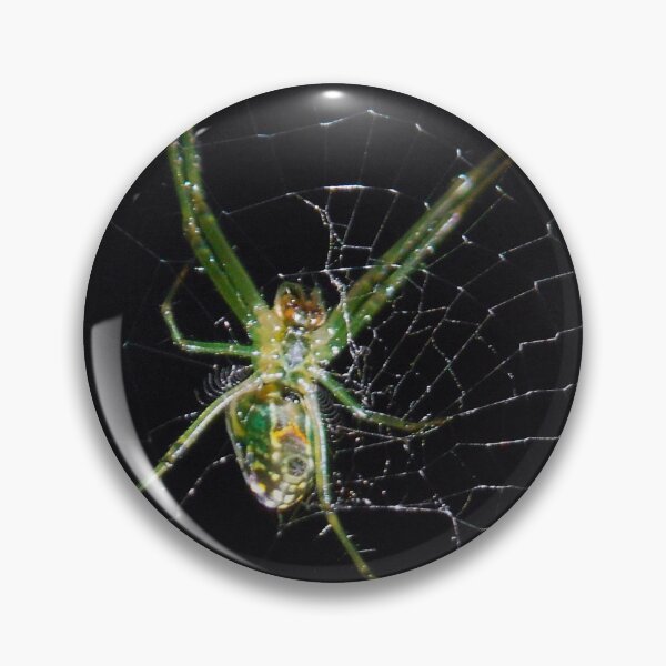 Item preview, ©NS On The Web Tonight IA. designed and sold by OmarHernandez.