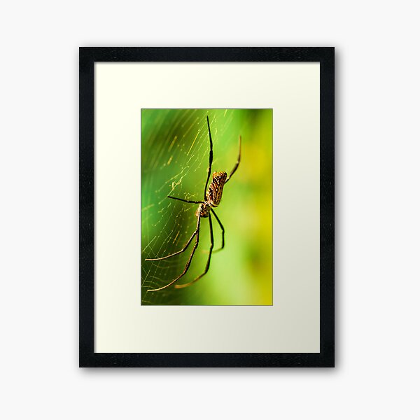 Item preview, Orb Spider designed and sold by Maybrick.