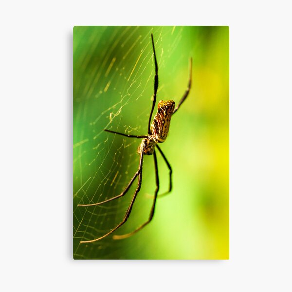 Item preview, Orb Spider designed and sold by Maybrick.