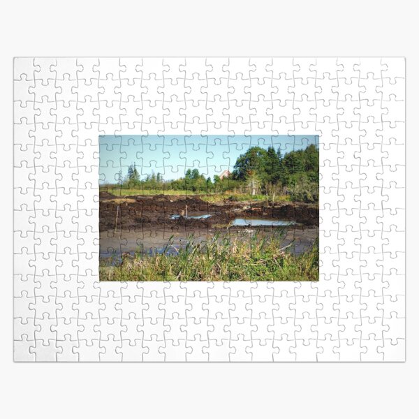 Oak Island swamp Jigsaw Puzzle