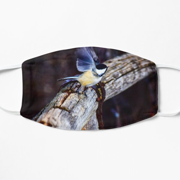 Chickadee lifting off. Mask