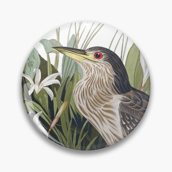 Item preview, Black-crowned Night Heron by John James Audubon designed and sold by TheCurators.