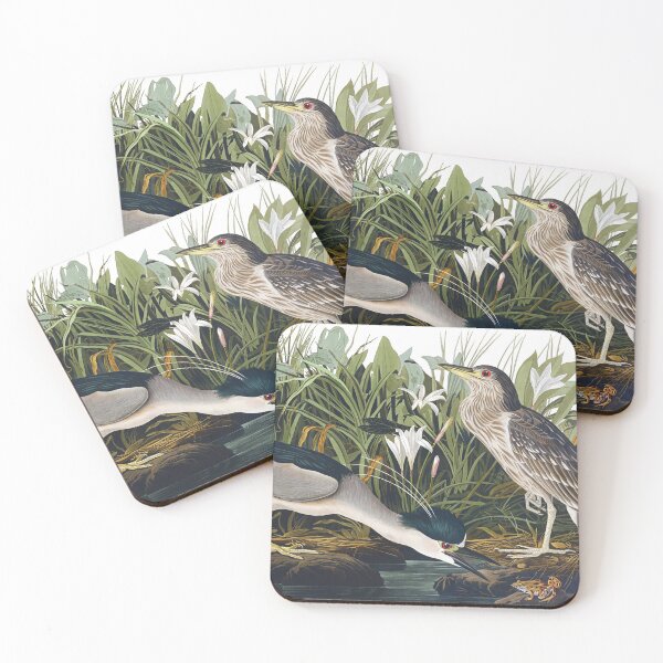 Item preview, Black-crowned Night Heron by John James Audubon designed and sold by TheCurators.