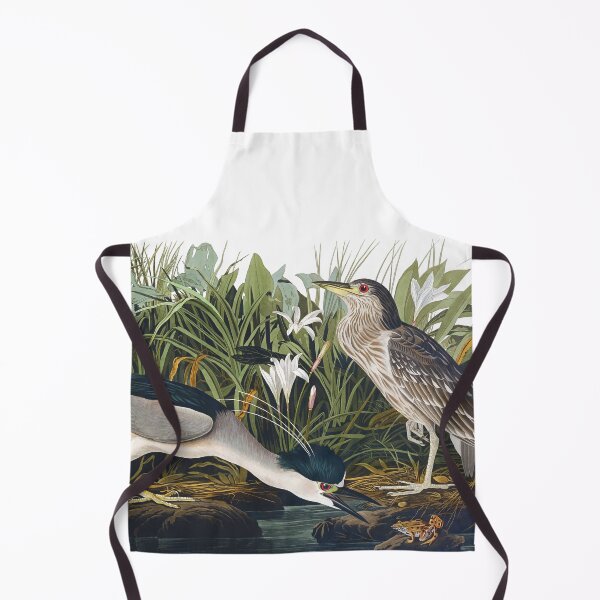 Item preview, Black-crowned Night Heron by John James Audubon designed and sold by TheCurators.