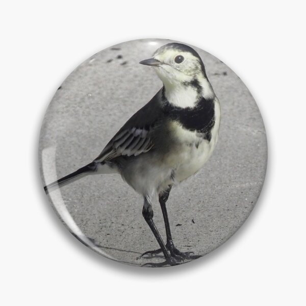 Item preview, Wagtail designed and sold by Alan Mackinnon.