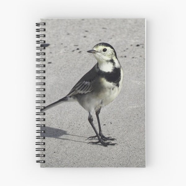 Item preview, Wagtail designed and sold by Alan Mackinnon.