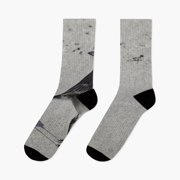 Item preview, Wagtail designed and sold by Alan Mackinnon.