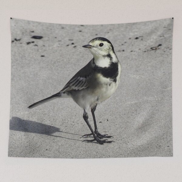 Item preview, Wagtail designed and sold by Alan Mackinnon.