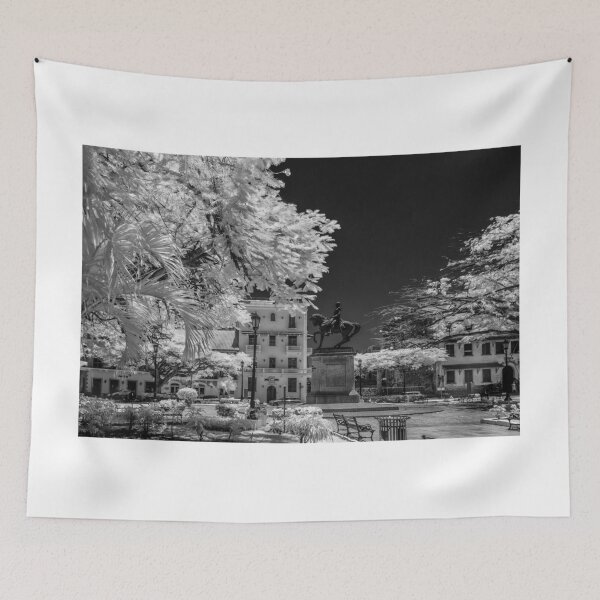 Item preview, Plaza Herrera, Old Quarters Panama designed and sold by Bernai Velarde.