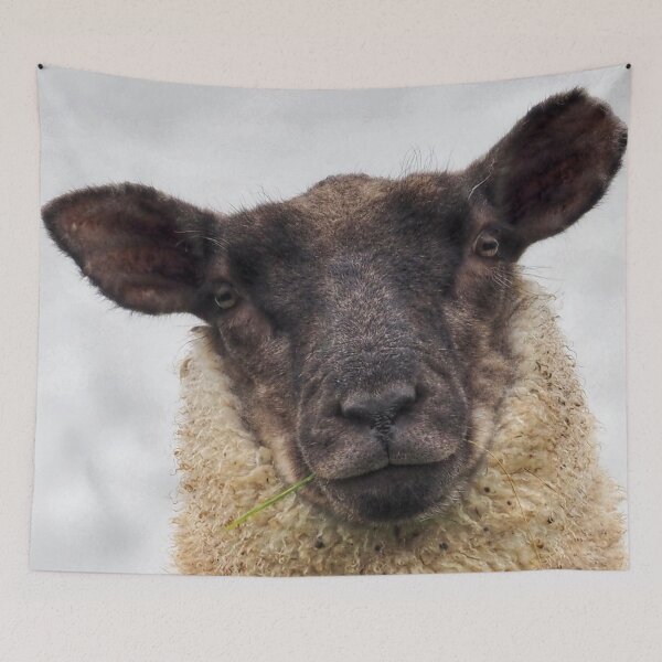 Item preview, Sheep designed and sold by Alan Mackinnon.