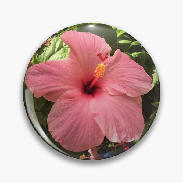 Item preview, Pink Hibiscus designed and sold by BettyVillalon.