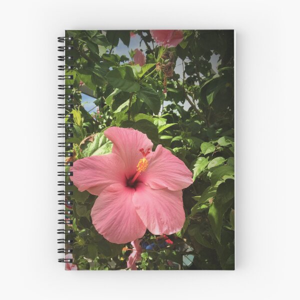 Item preview, Pink Hibiscus designed and sold by BettyVillalon.