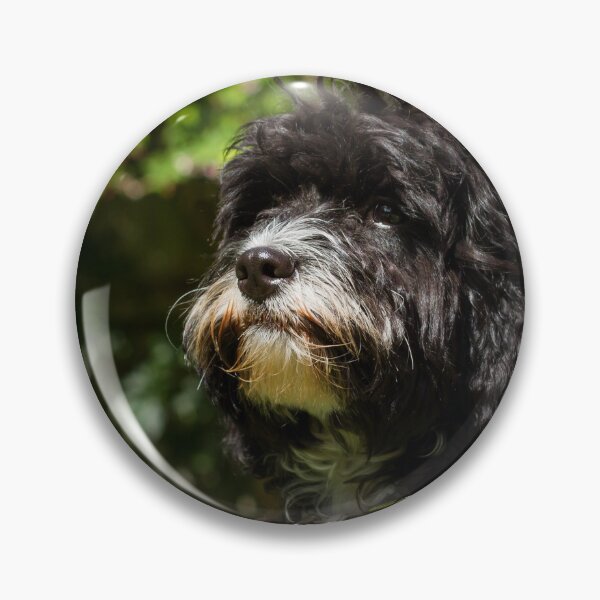 Item preview, Cavapoo Puppy Portrait designed and sold by Jane Stanley Photography.