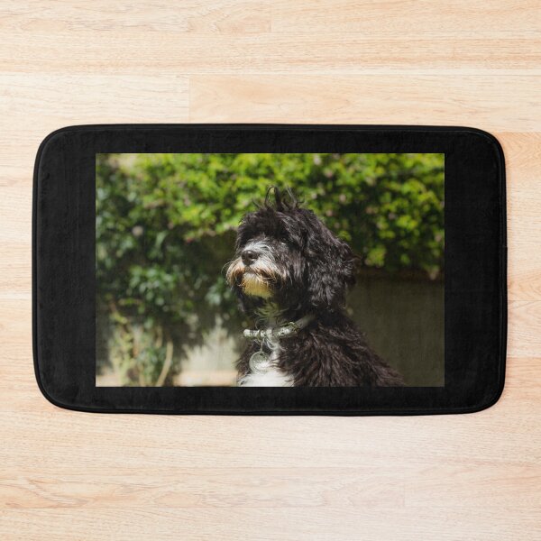 Item preview, Cavapoo Puppy Portrait designed and sold by Jane Stanley Photography.