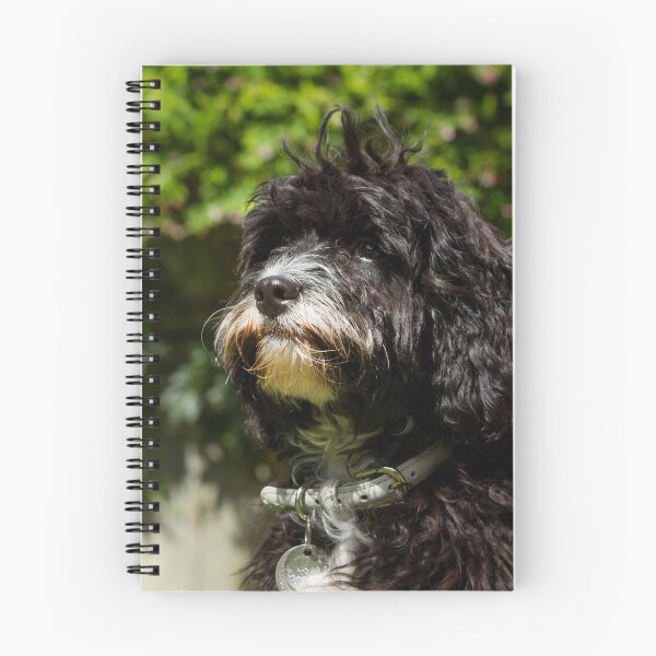 Item preview, Cavapoo Puppy Portrait designed and sold by Jane Stanley Photography.