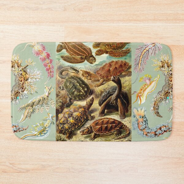 Item preview, OCEAN SEA LIFE SCENE SEA TURTLES ,MOLLUSCS,NUDIBRANCHIA,SEA SNAILS IN AQUA BLUE designed and sold by BulganLumini.