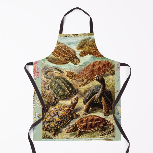 Item preview, OCEAN SEA LIFE SCENE SEA TURTLES ,MOLLUSCS,NUDIBRANCHIA,SEA SNAILS IN AQUA BLUE designed and sold by BulganLumini.
