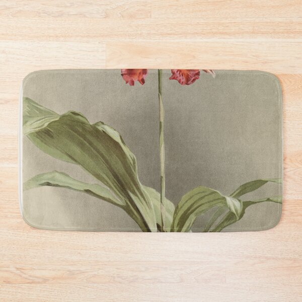Item preview, Reichenbachia: Orchids Illustrated and Described designed and sold by EsotericBotanic.