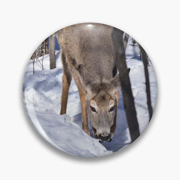 Item preview, White Tailed Deer. designed and sold by CanadianWild418.