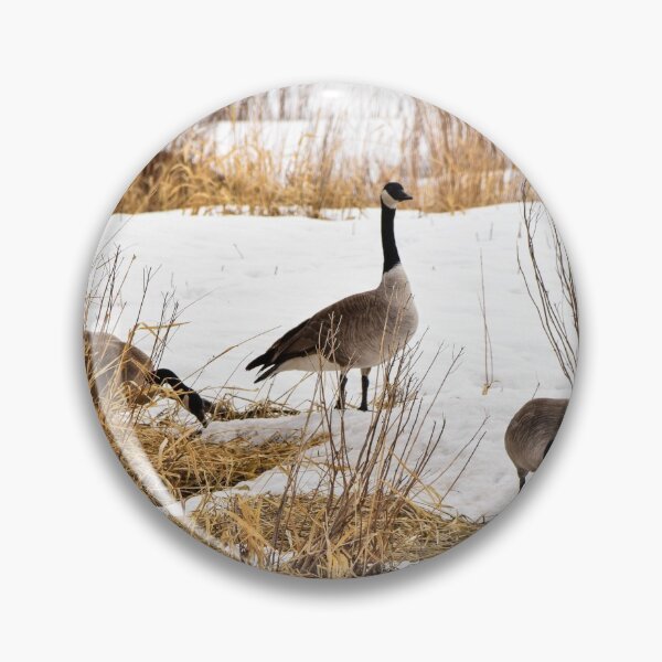 Item preview, Geese Nesting. designed and sold by CanadianWild418.
