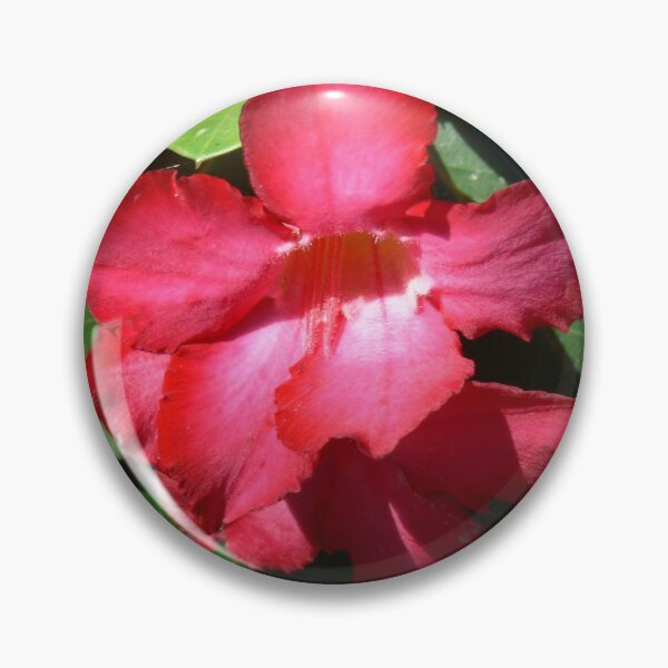 Item preview, Beautiful Red Flower designed and sold by Monika's Shop.