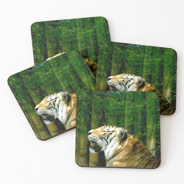 Item preview, Tiger at Busch Gardens, Tampa, FL designed and sold by Monika's Shop.