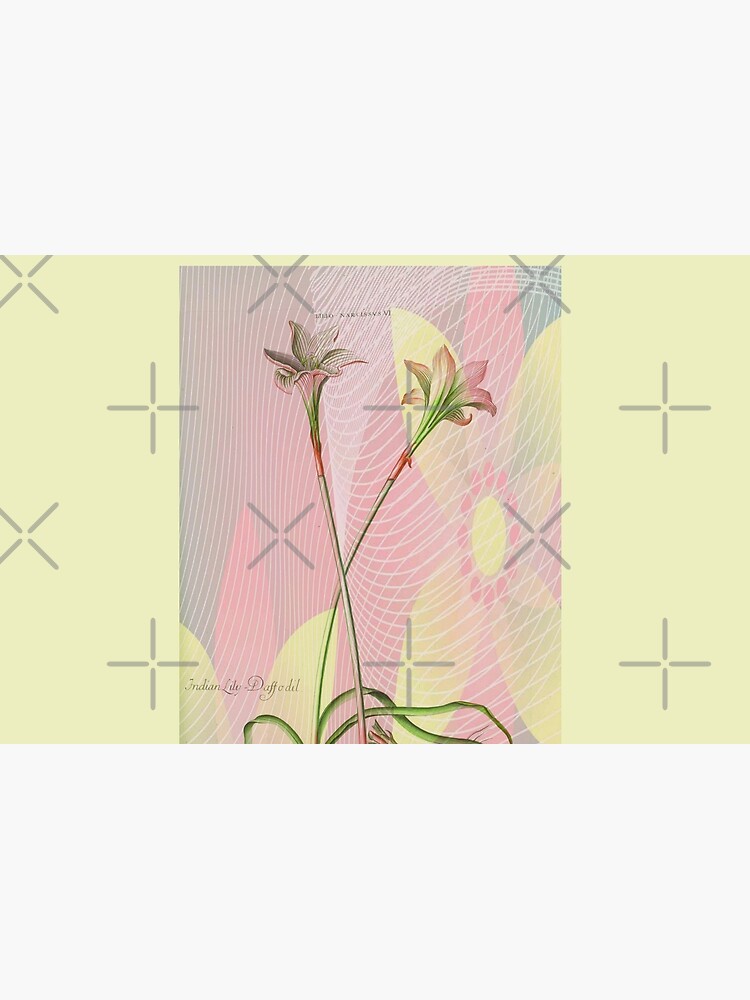 Botanical Print-Indian Lily Daffodil by Matlgirl
